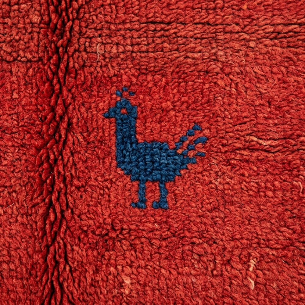 クジャクの文様